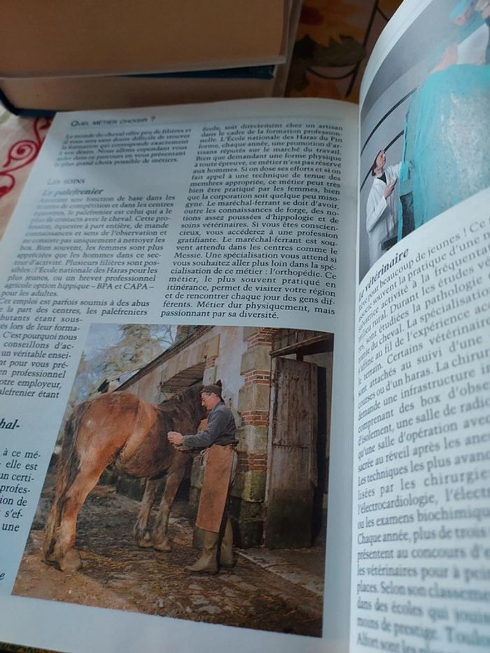 Superbe livre sur les cavalier - photo numéro 5