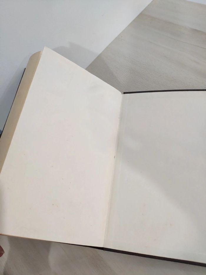 Livre grand format la duchesse rebelle Jennifer Wilde - photo numéro 8