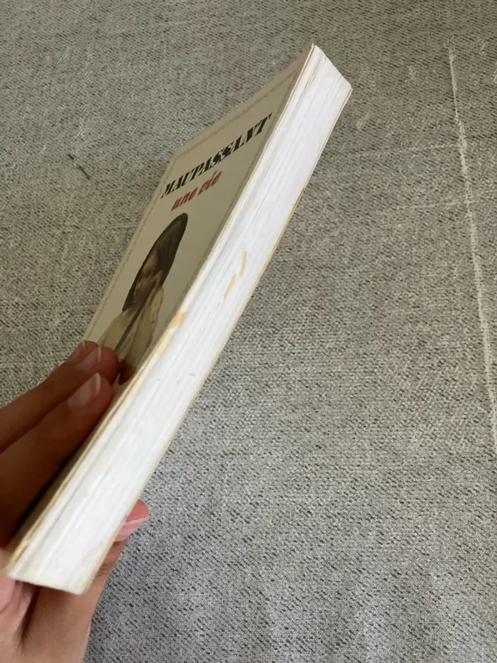 Une vie – Guy de Maupassant – Édition Flammarion - photo numéro 2