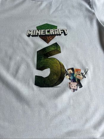 T-shirt mincraft