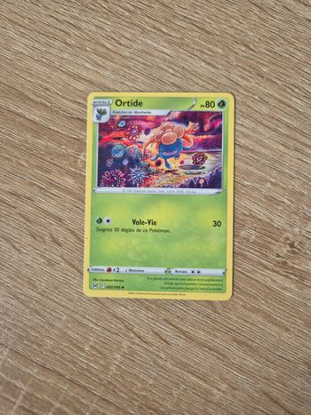 Ortide Origine Perdue 