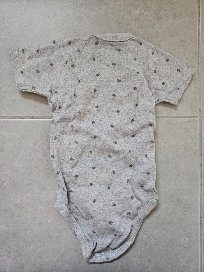 Body MC 3M - photo numéro 2