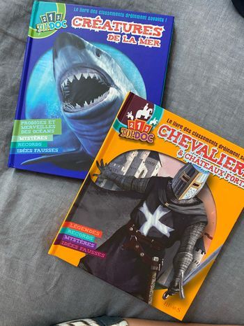 Lot de 2 livres 123 Topdoc Fleurus