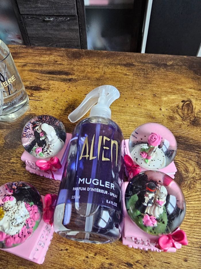 Spray d ambiance a 10 euros - photo numéro 5