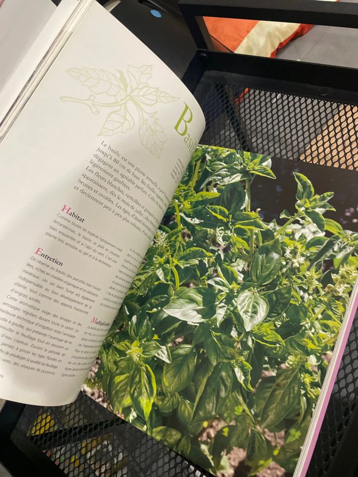 Le grand livre des plantes aromatiques - photo numéro 9