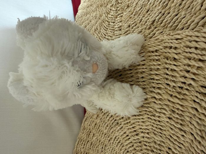 Doudou Peluche chat blanc BOULGOM