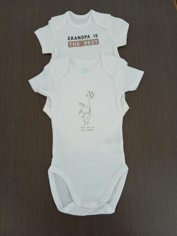 Lot de deux bodies garçon tex baby 12 mois