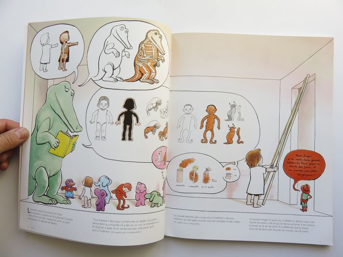 Album 7 à 9 ans : Comment fabriquer son grand frère Un livre d'anatomie et de bricolage. (L'école d - photo numéro 5