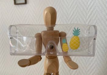 Étui à lunettes en plastique translucide décors ananas