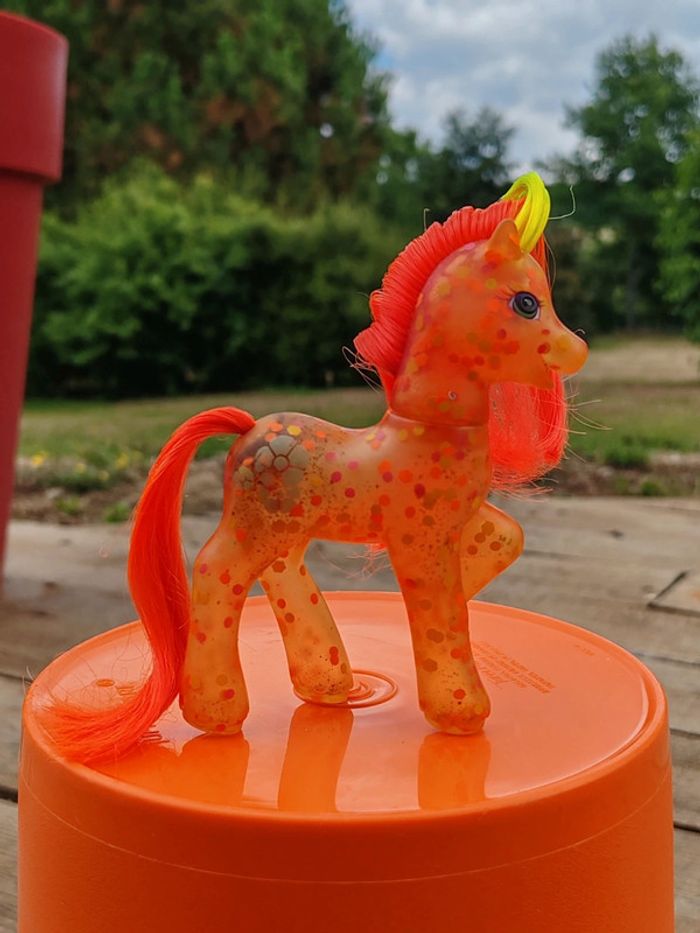 Poney g2 - hip holly confettis orange