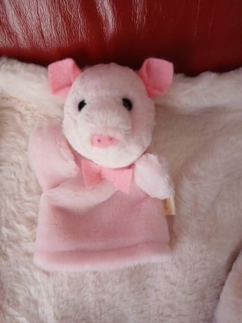 Marionnette-doudou Petit Cochon *Histoire d'ours