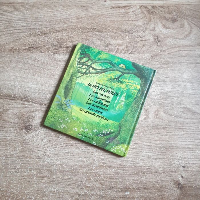 📚 Livre La grande maison de la petite forêt #emyfleury_livres - photo numéro 2