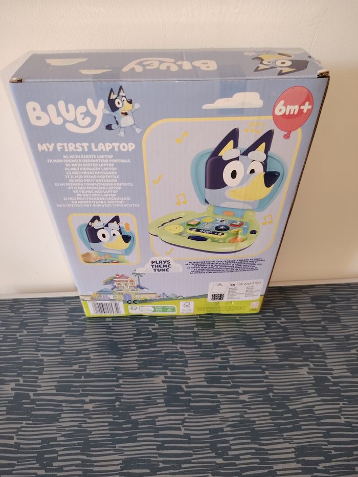 Ordinateur bluey - photo numéro 2