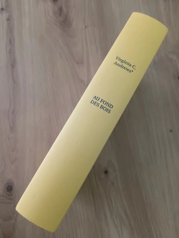 Virginia C. Andrews 🍀 La famille De Beers T4 Au fond des bois