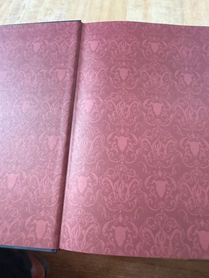 Grand livre rare Disney La Belle et la Bête - L’Histoire éternelle d’un chef d’œuvre Charles Solomon - photo numéro 5