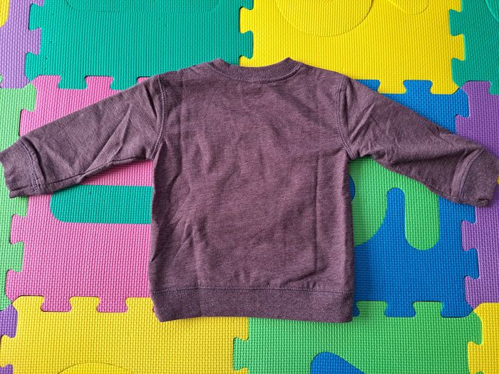 Lot 2 pulls + 1 gilet sans manches 18m - photo numéro 5