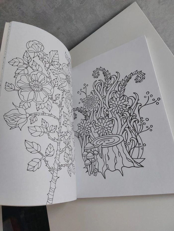 Livre coloriage pour adulte anti stress - photo numéro 11