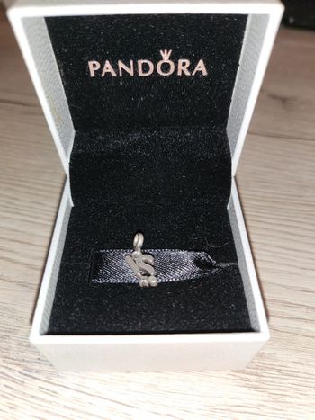 Charm pandora