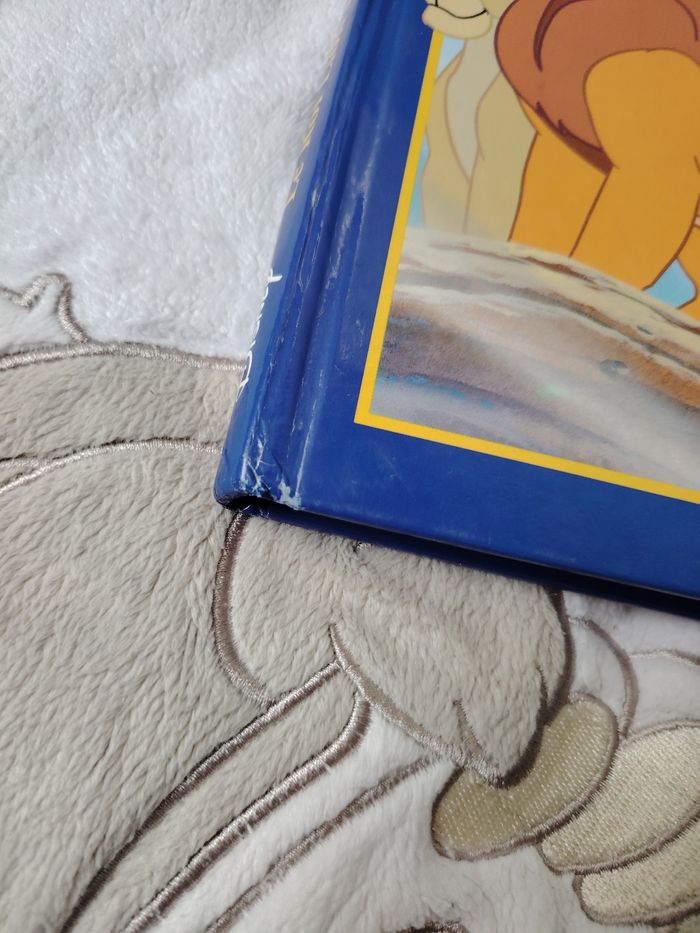 Livre roi lion 2 - photo numéro 2