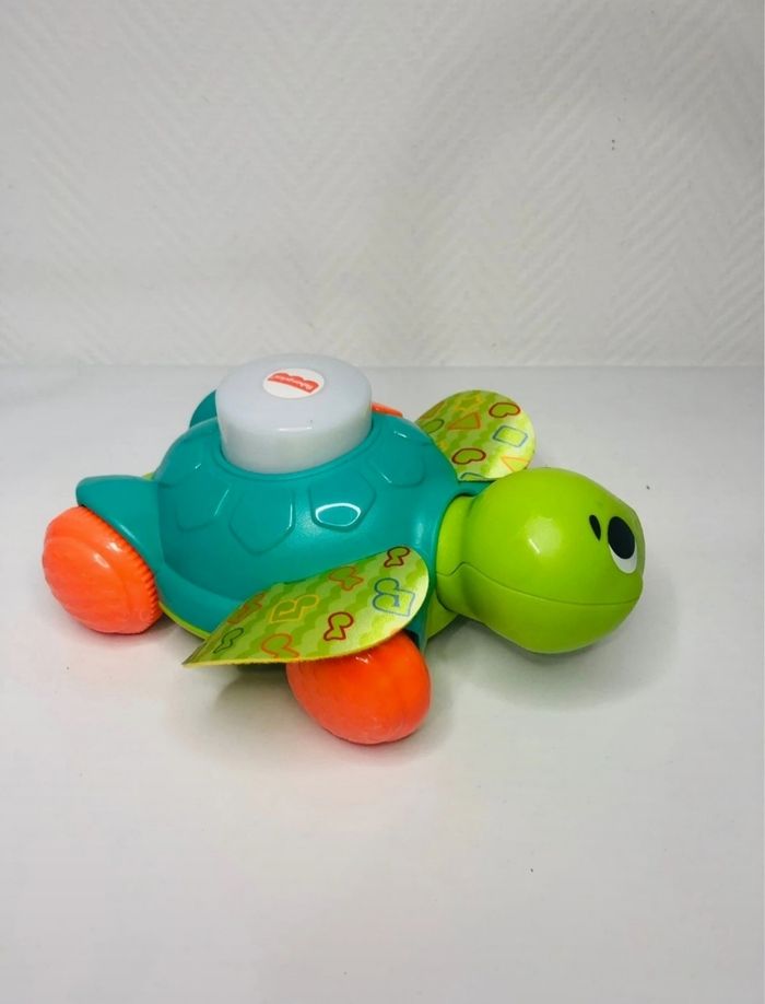 Manu la tortue - photo numéro 2