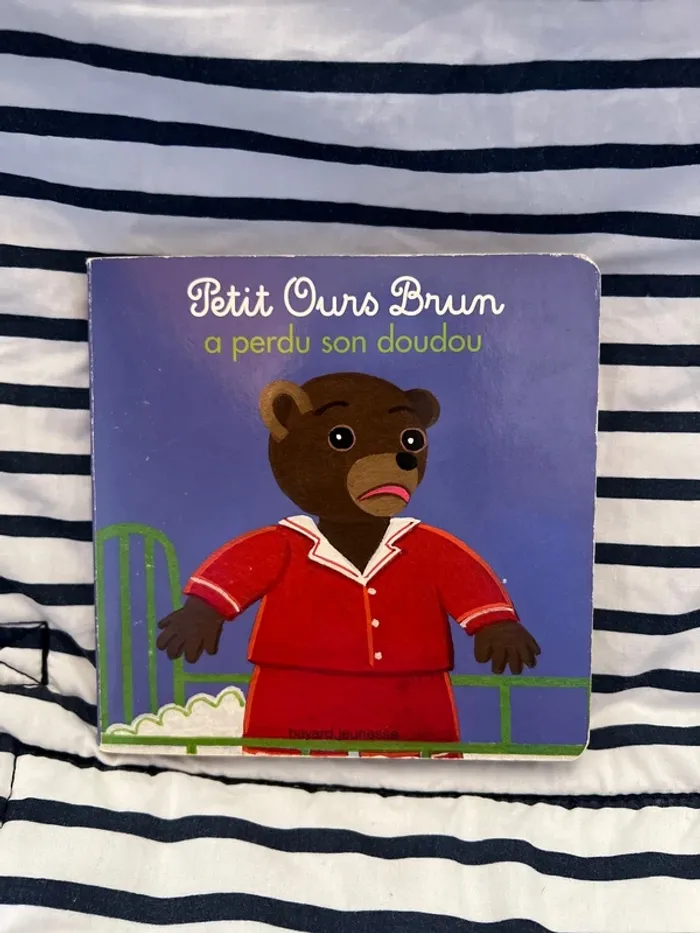 Petit Ours Brun a perdu son doudou