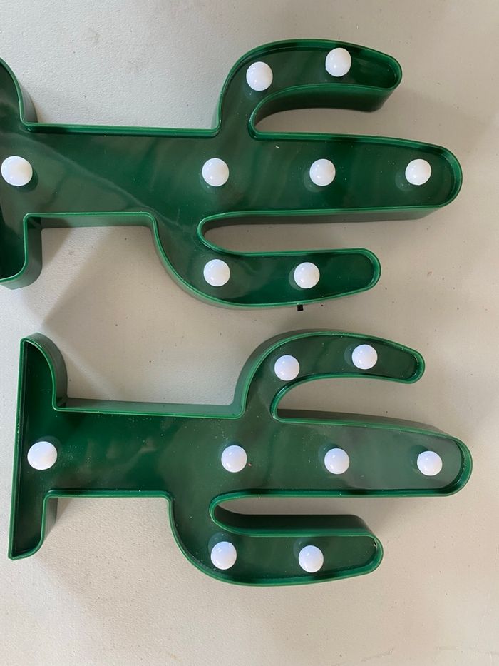 Cactus - photo numéro 5