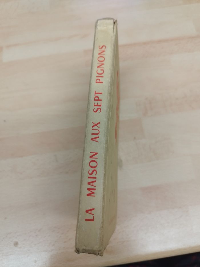 LA MAISON AUX SEPT PIGNONS - photo numéro 3