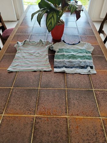 Lot  tee shirt manches courtes