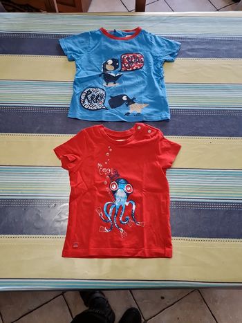 Lot de 2 Tee-shirts 18 mois en TBE.