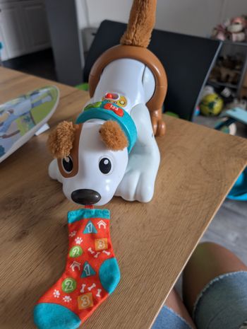 Chiot rampe avec moi Fisher price