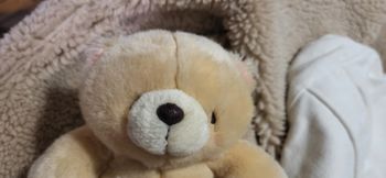 peluche ourson