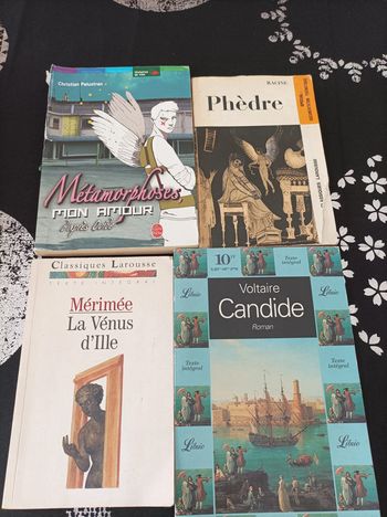 Lot de 4 livres scolaires