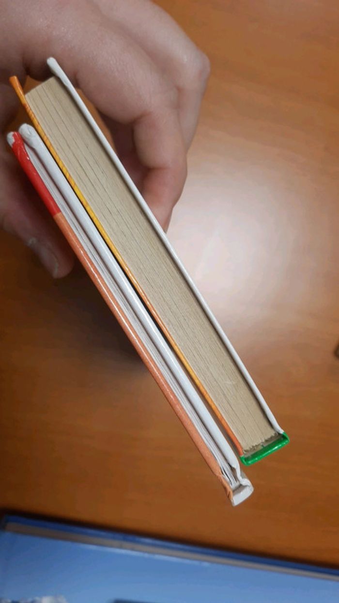 Lot de 2 livres jeunesse - photo numéro 5