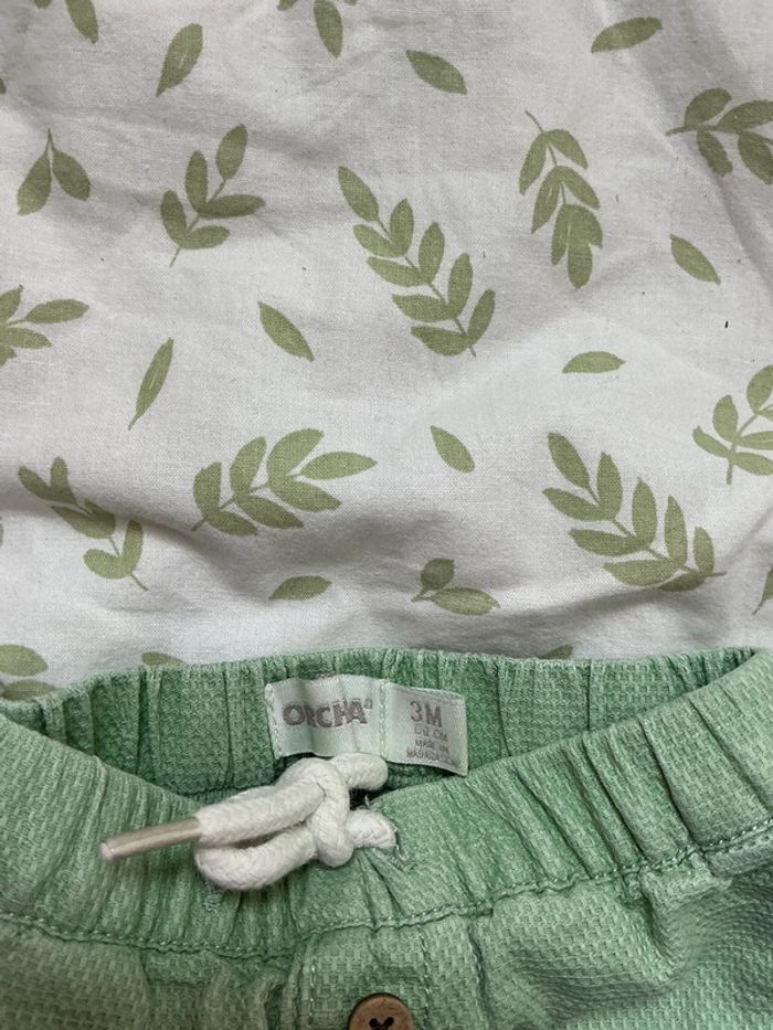 short vert lien de serrage 3 mois orchestra - photo numéro 4