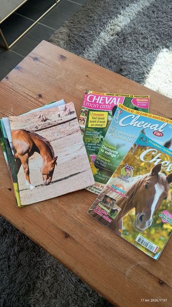 Lot 3 revues et 9 posters sur les chevaux