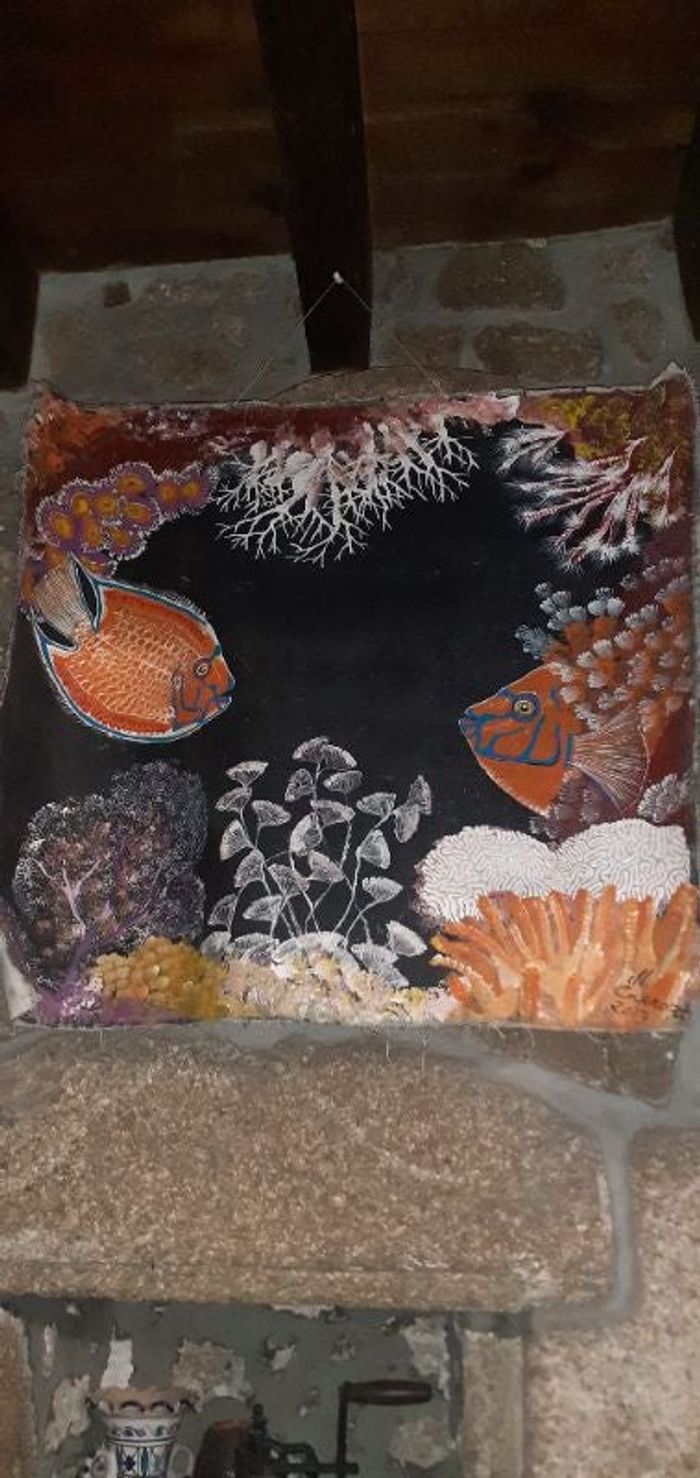 Toile fonds marins République Dominicaine