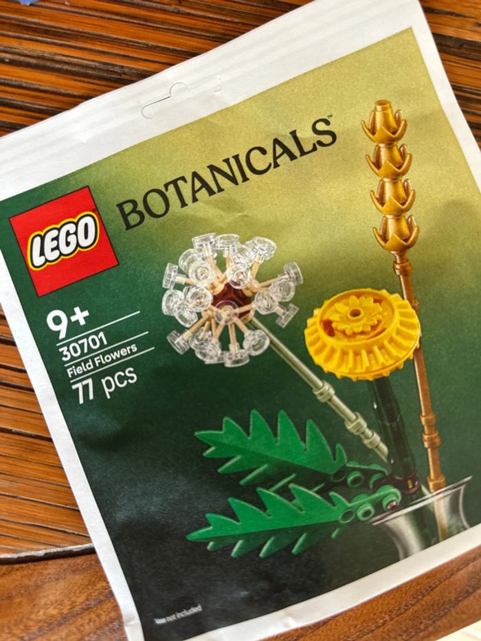 Polybag Lego Botanicals 33701 Field Flowers - photo numéro 2