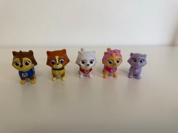 Chatons Monsieur hellinger pat patrouille