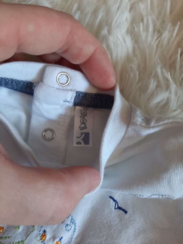 Haut dinosaures - photo numéro 4