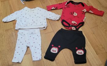 Lot 3 ensembles 