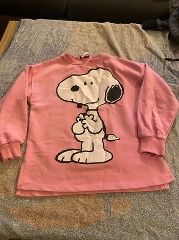 Pull Zara 