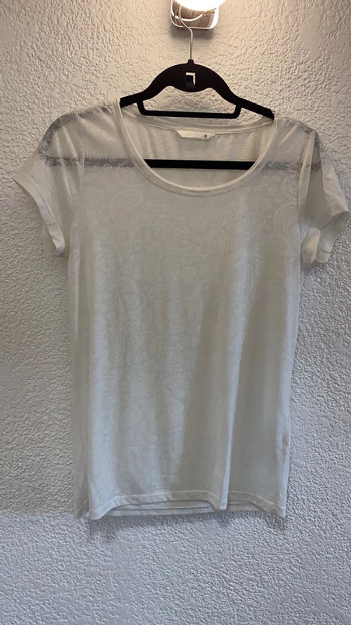 Tee-shirts blanc