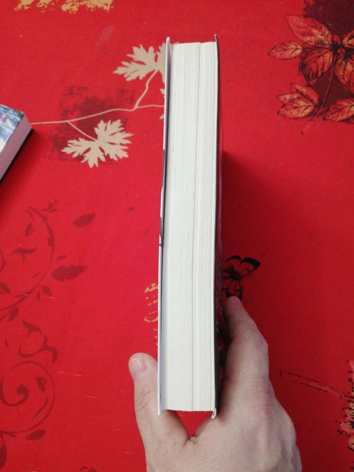 Trauma - photo numéro 4