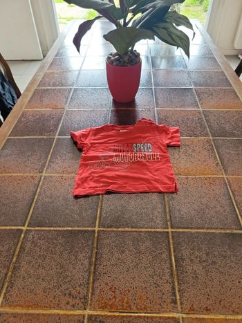 Tee shirt manches courtes