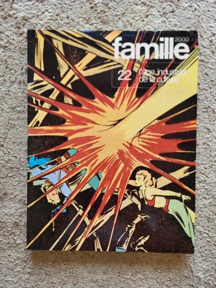 Lot de 4 encyclopédies vintage Famille 2000 - photo numéro 7