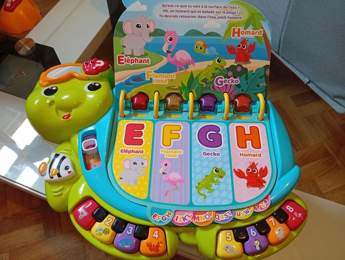 Tortue educative - photo numéro 2