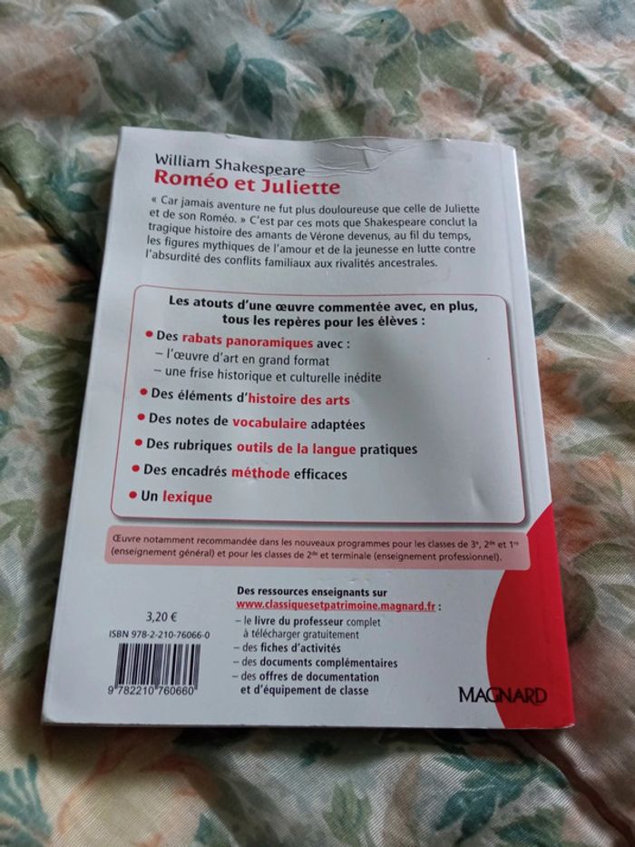 Romeo et Juliette - photo numéro 2
