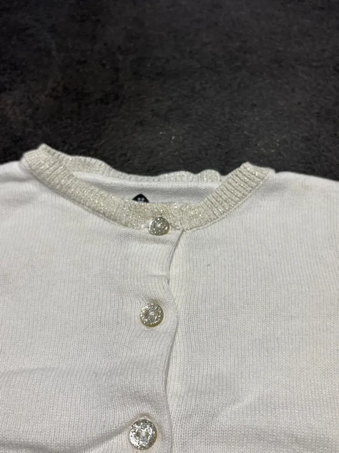 Gilet fin - photo numéro 5