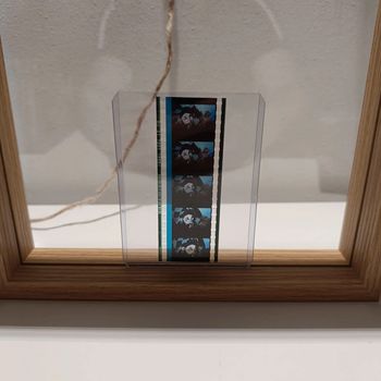 Pellicule démon slayer tanjiro