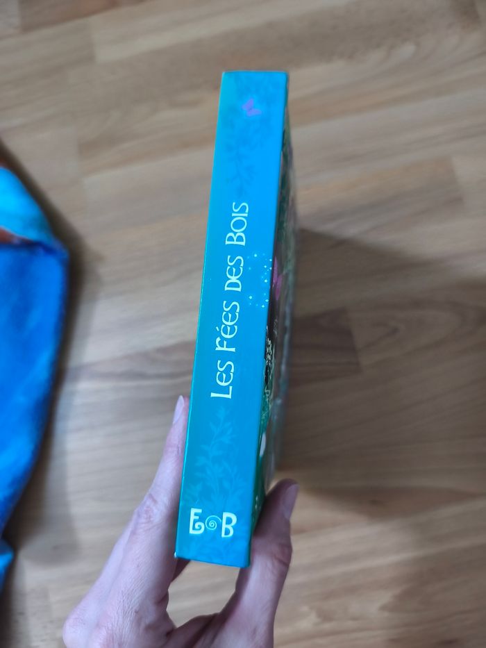 Livre fée. - photo numéro 4